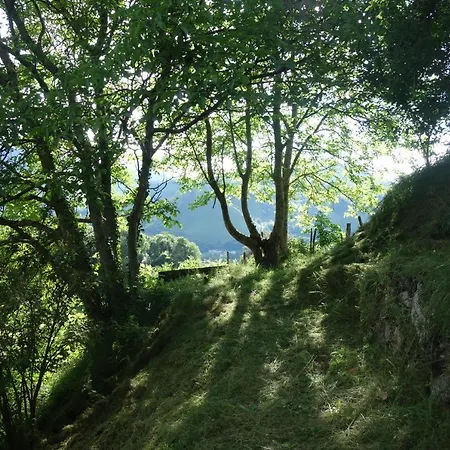Hotel Montagne Et Vie 2*