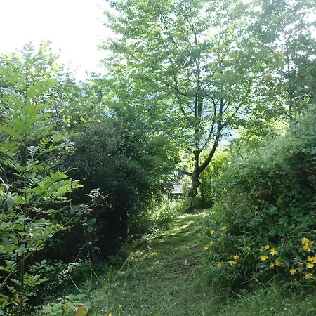 Montagne Et Vie 2*